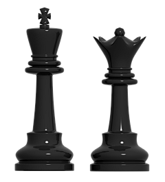 白露の羽采集到象棋