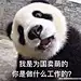 石头猫猫1