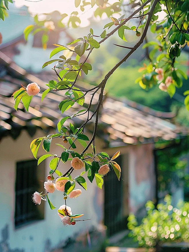 家门口的风景图片_自然实景 素材图片素材-花瓣网