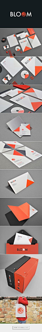 Bloom Branding Consultants & Designers