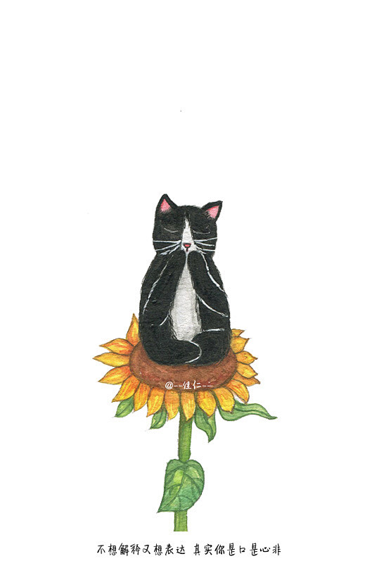 65向日葵和猫#水彩手绘#