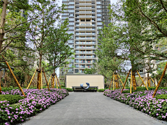 Neeat采集到轴线景观