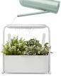 Umbra Giardino Indoor Herb Garden Set with Perforated Shelf and Tray for Water Fall and Drain System Planter, White