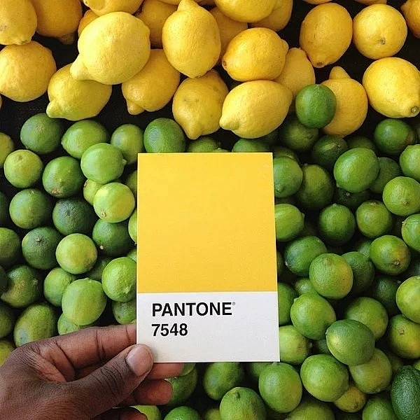 Pantone 7548 por Pau...
