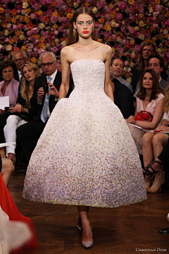 桔子梅采集到Christian Dior Fall 2012 Couture