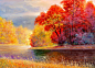 秋天在河上。景观。绘画:帆布,石油。