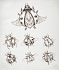 Ladybird_sketches