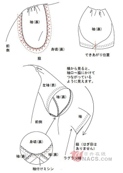 田七`采集到服装缝合