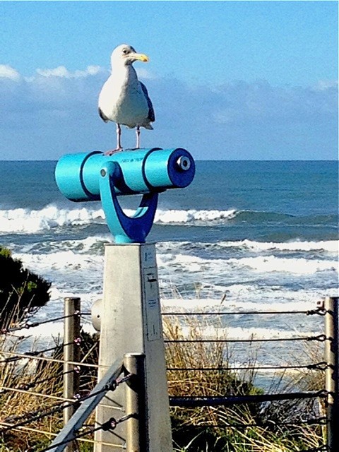 keeping watch