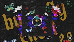 Butterfly Effect 2⎪25个吉他长笛声音