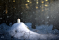 Candles, Snow, Trees, Winter wallpaper preview