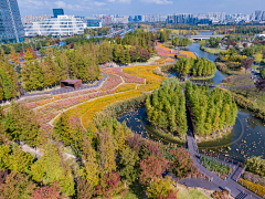 栀芓采集到植意——花海