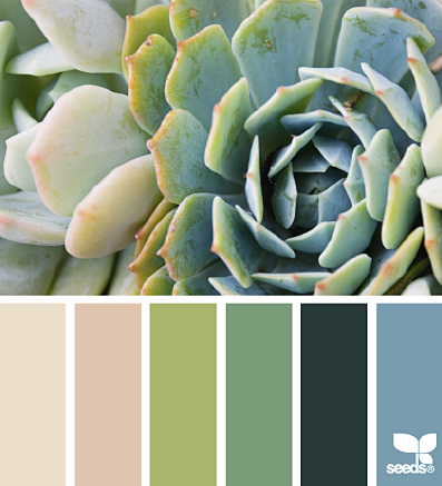 succulent hues