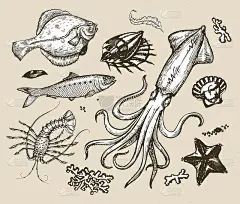 手绘素描集海鲜、水下世界。矢量图
