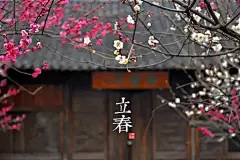 立春：玉润窗前竹 花繁院里梅