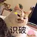 MSENG_L