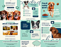 Social Media I Clínica Veterinária - Cynthia Graziella