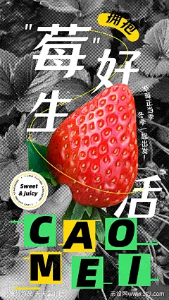 草莓采摘活动海报-源文件-志设网-zs9.com