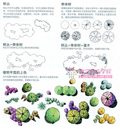 你是夜空中最亮的星采集到室外手绘图图