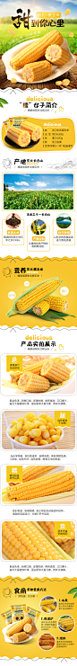 玉米详情 (1)