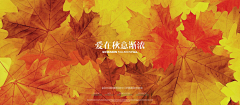 嘿wy采集到婚纱专题画板