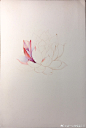 美美哒多肉植物画一个～@我爱彩铅画 @插画视觉 @手绘插画 @小米与石石 @共享插画 @趣画画 @Artager彩铅世界 @Artager官微 @本意绘片馆 @插画家园 @插画视觉 @彩铅手绘 @彩铅画手绘 @彩铅画教程 @大神手绘作品 @画片集 @画师圈子 @墙角笔触绘画俱乐部 #多肉植物##每天画唠##插画##手绘是一种信仰# ​​​​...展开全文c