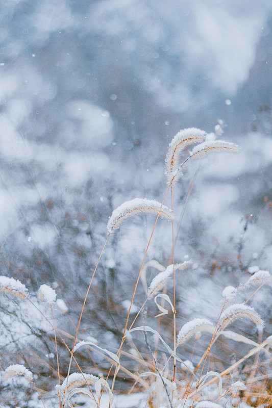 漫天飞雪图片下载