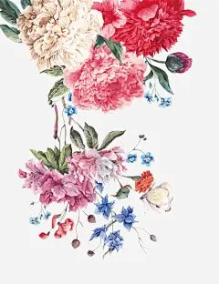 手绘母亲节背景装饰花朵插画高清素材 康乃馨 手绘 插画 母亲节 背景 花朵 装饰 元素 免抠png 设计图片 免费下载 页面网页 平面电商 创意素材