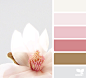 Design Seeds : Design Seeds color palettes ... posted daily for all who love color.