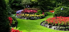 花园,草坪,绿色树林,鲜花,自然图片,风景桌面壁纸