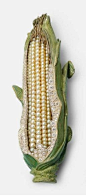 各种饰品珠光宝气_游戏Amazing Hemmerle corn brooch40