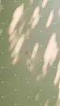 通用自然柔和光影背景