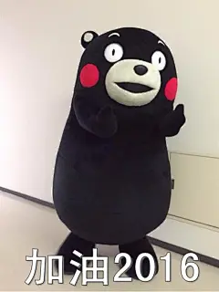 加油2016 熊本熊表情包