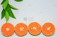 橙色的橘子或橘子的果实，绿色的叶子在白色的背景。
