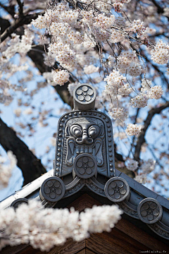 幼稚园大班高材生采集到吉祥图案