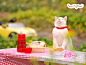 日本广告新星——猫咪“NYARAN”