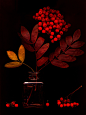 By Diana