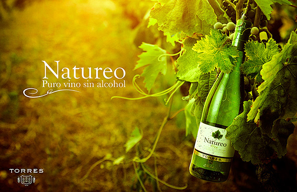 Natureo, Viña Miguel...