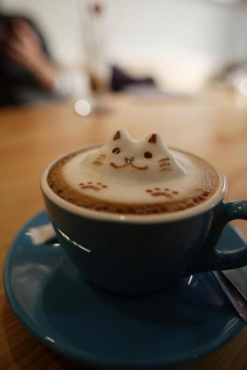 The 'purr-fect' cup ...