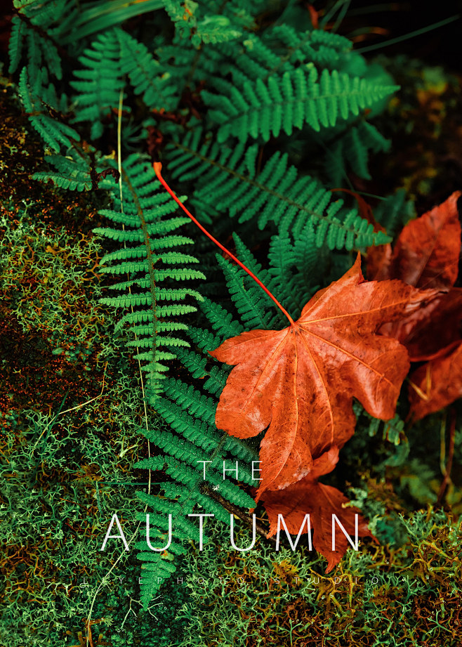 Autumn projects | Be...