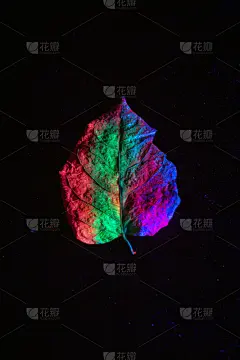秋天,叶子,抽象,紫外线辐射,在下面,黑色背景,高对比度,纹理效果,超现实主义的,暗色