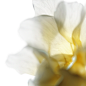Hybrid Ingredient on Behance