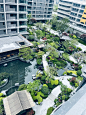 建发、养云268放样中 - 小红书