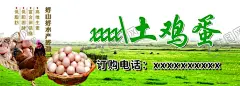 土鸡蛋不干胶 【酷图网】不干胶,土鸡蛋,海报,包装,土鸡蛋包装纸