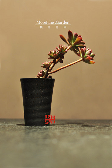 模范花园/陶瓷花器/多肉花盆/日式花器/...
