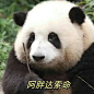 命给你，你让我rua一天