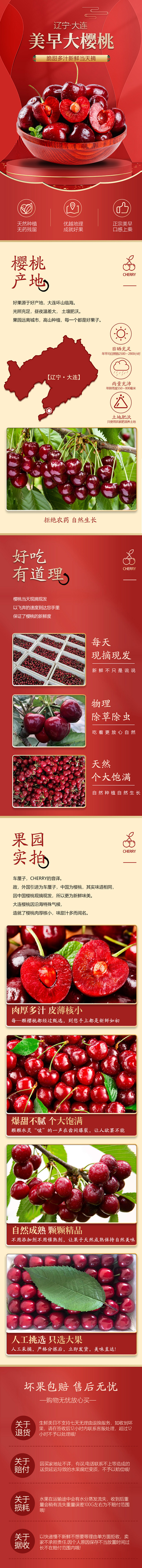 樱桃详情页