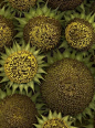 pc_680_webp (2).webp (15)