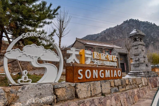 青山中医药健康养生小镇标志的搜索结果_360图片图片_X-小小品-1图片素材-花瓣网