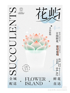 多多有一个亿采集到弥散风